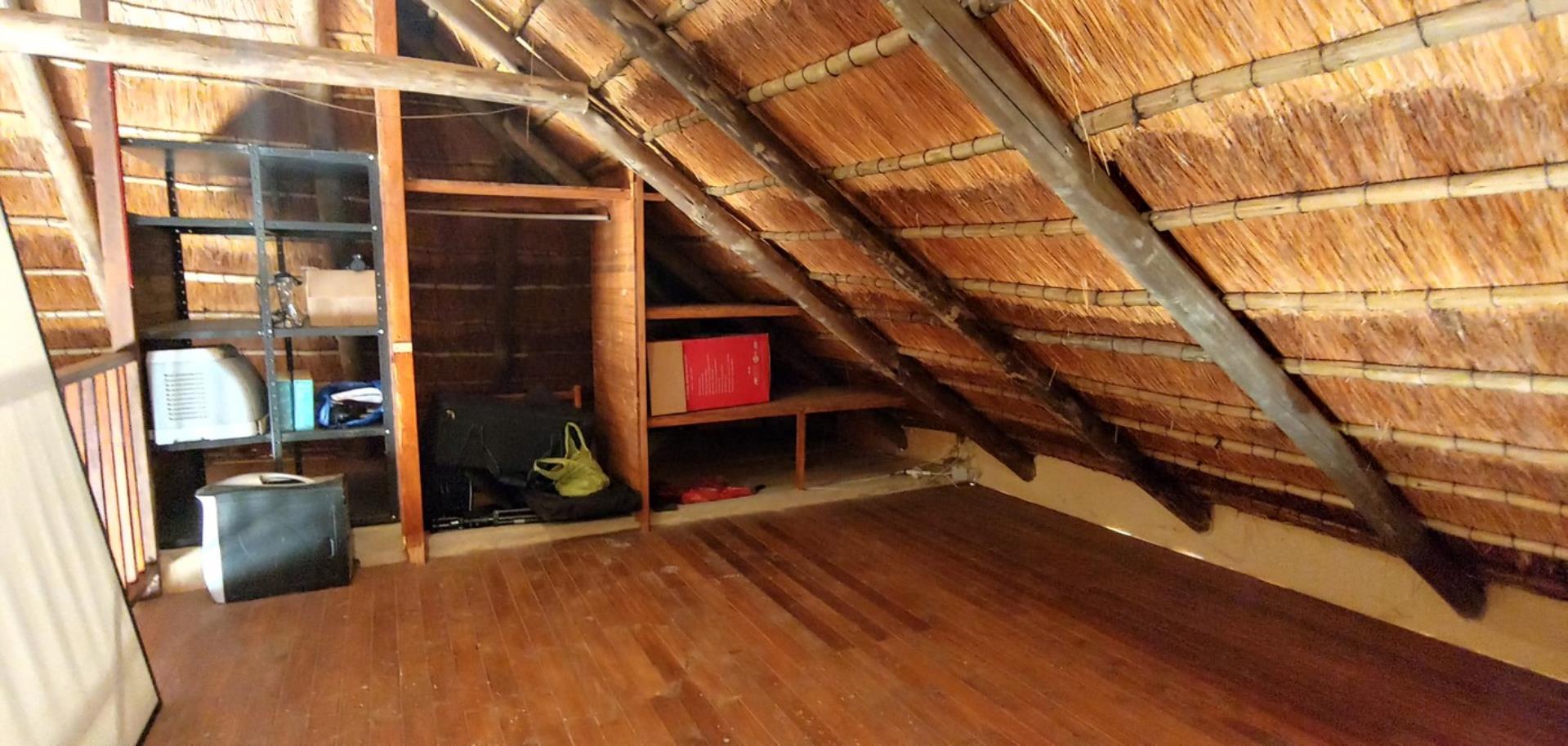 433603_20200812_103649_HDR.jpg