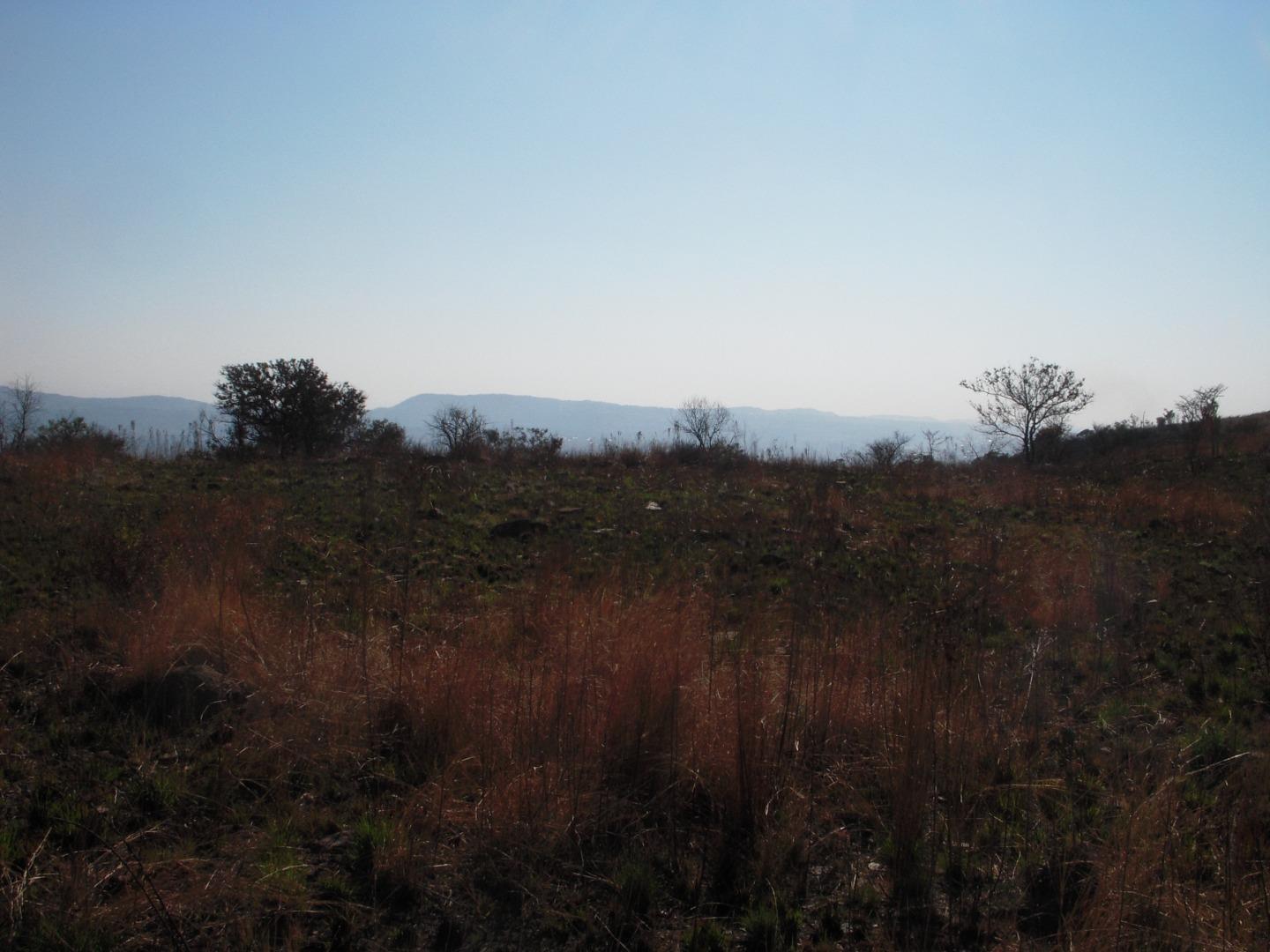 754629_DSCN7928.JPG