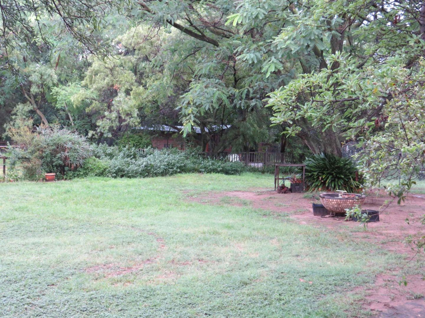 755511_IMG_6115.jpg