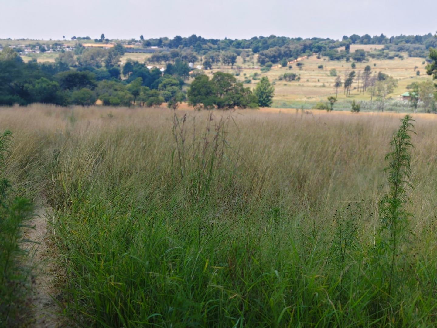 Vacant land Agricultural for Sale - Gauteng