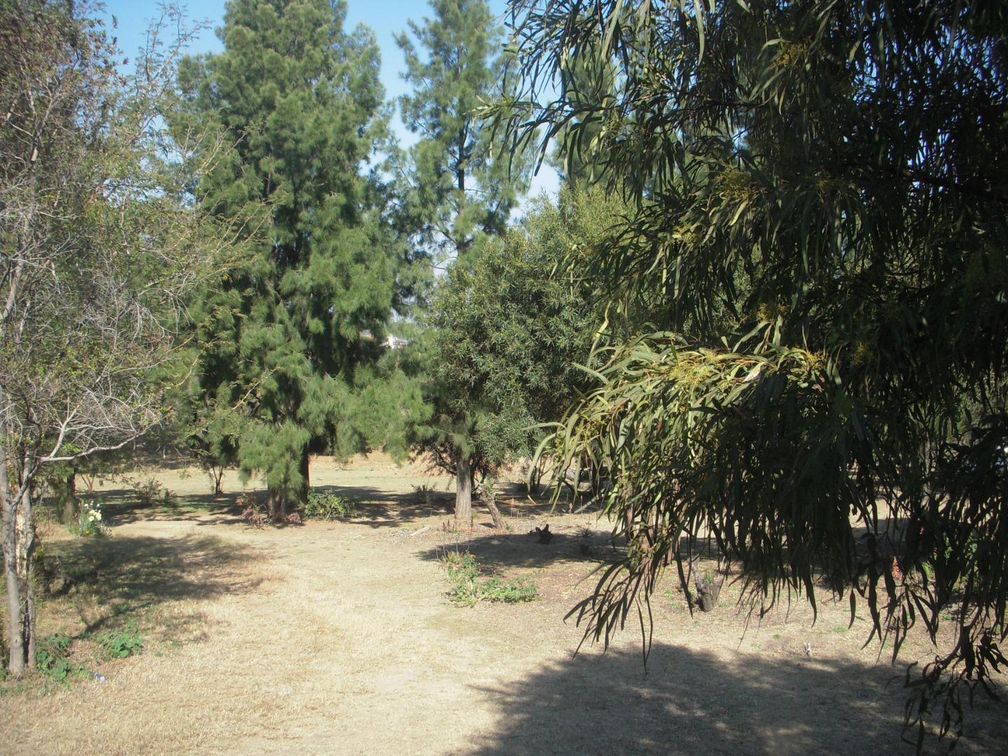 766486_DSCN8372.JPG