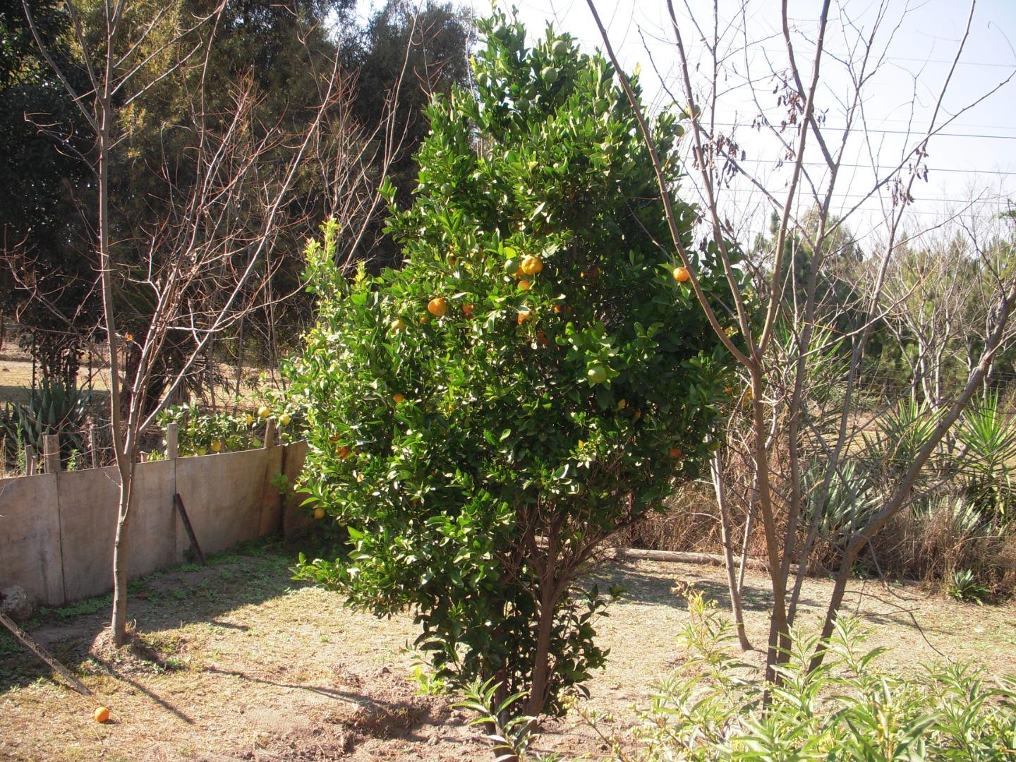 766487_DSCN8450.JPG