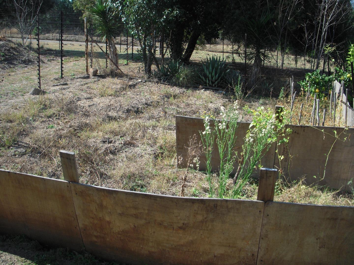 766487_DSCN8452.JPG