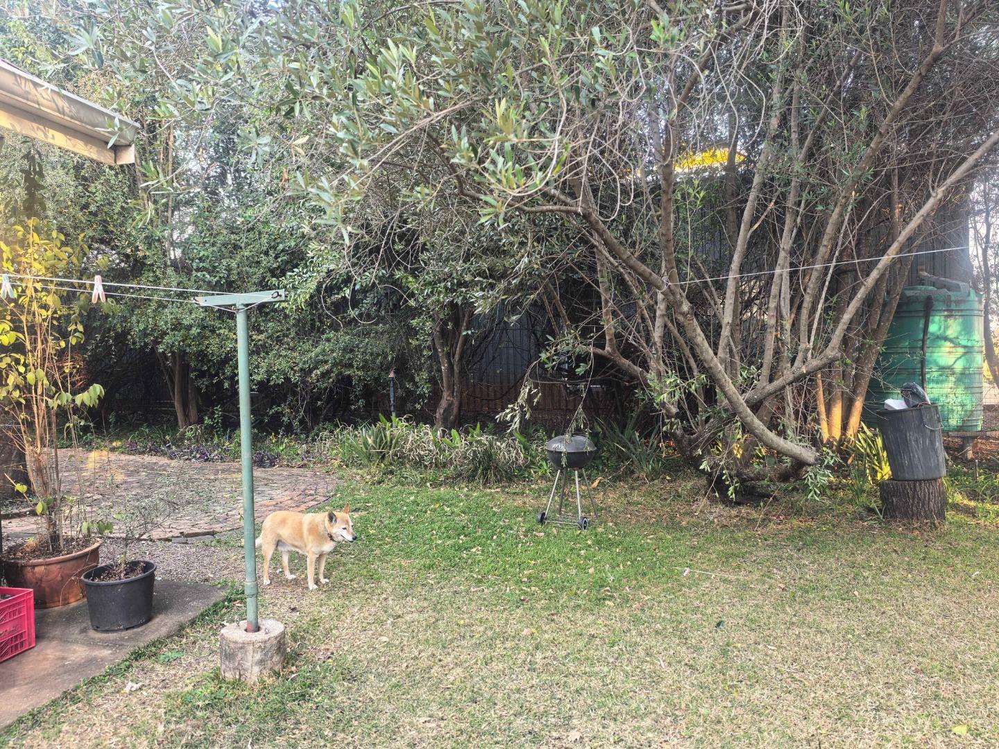 768527_IMG_20260715_162632.jpg