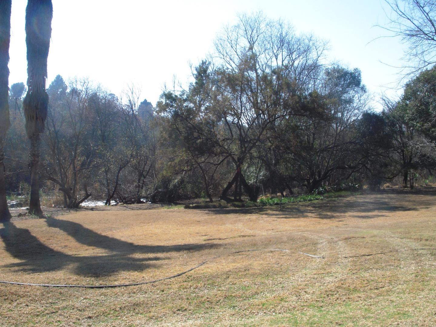 768778_DSCN8384.JPG