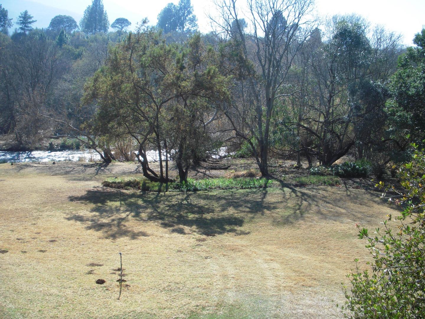 768778_DSCN8455.JPG