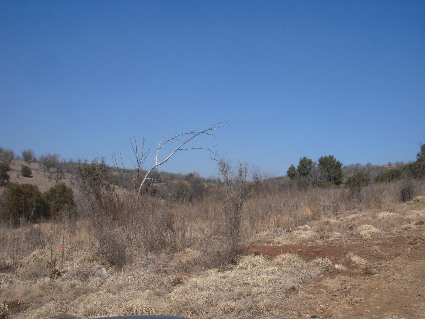 768778_DSCN8484.JPG